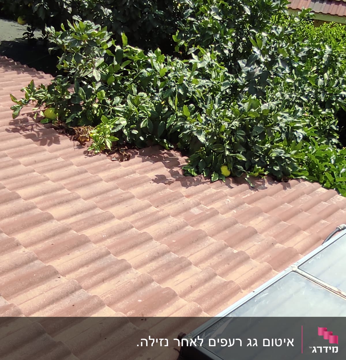 גג רעפים חום עם קולטן שמש